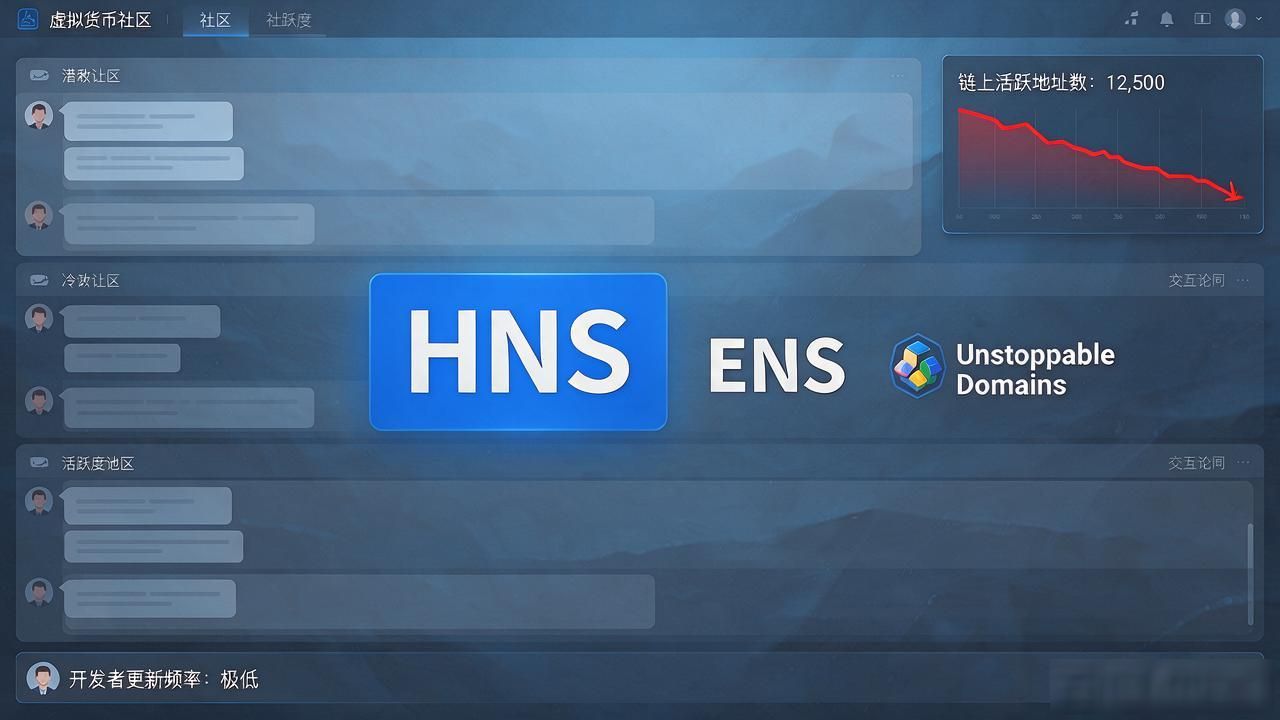 hns数字货币发行价到底多少？当初持有到现在啥光景